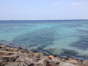 10502190_10204740826393171_1139112775247145898_n