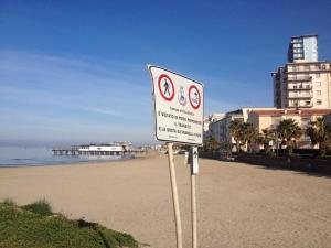 11057382_10205174630638006_5237875457008152539_n