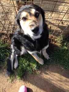 11134061_10205123932730590_4922094179334282397_n