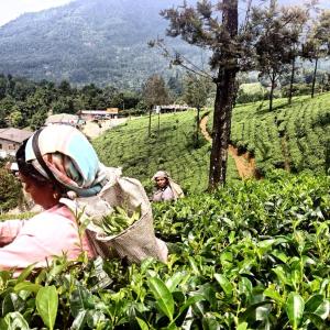 10689711_10203821027558775_8208593841234295762_n