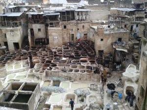 1901358_10202413893381300_905354886_n