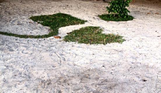 11169810_10205248392802014_3386594909041646976_n