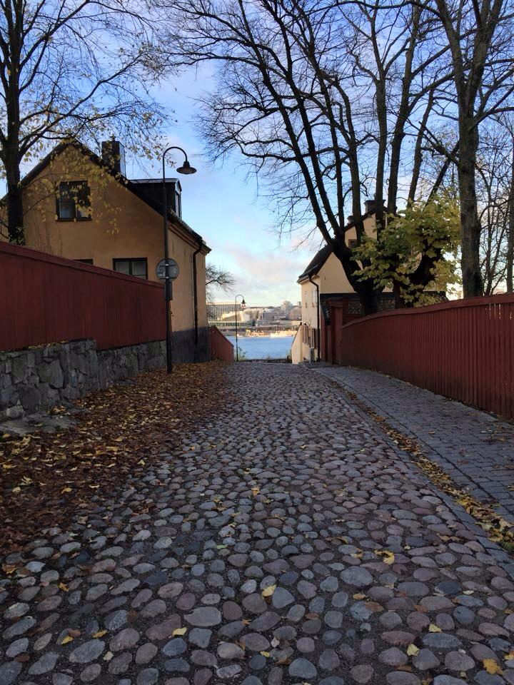 12191958_10206453809376675_6314850646086749894_n