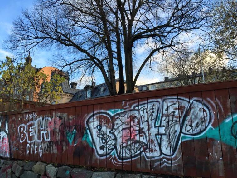 12227023_10206453878618406_3512075220239521577_n