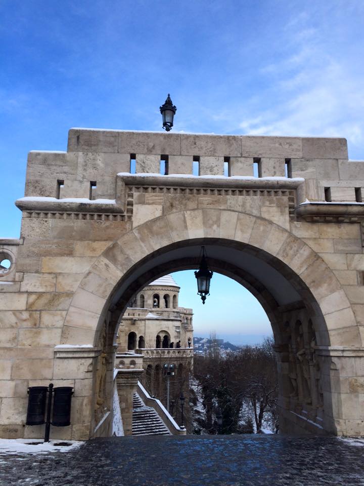 12509589_10206793418986703_9107549309331051365_n