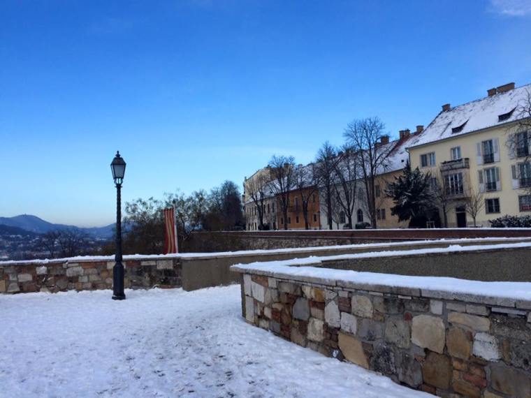 734900_10206793424786848_6820363975382639878_n