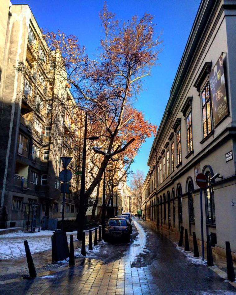 993889_10206793456347637_4946573126843089468_n