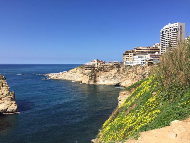 17155530_10210165953297953_7592608446683311588_n